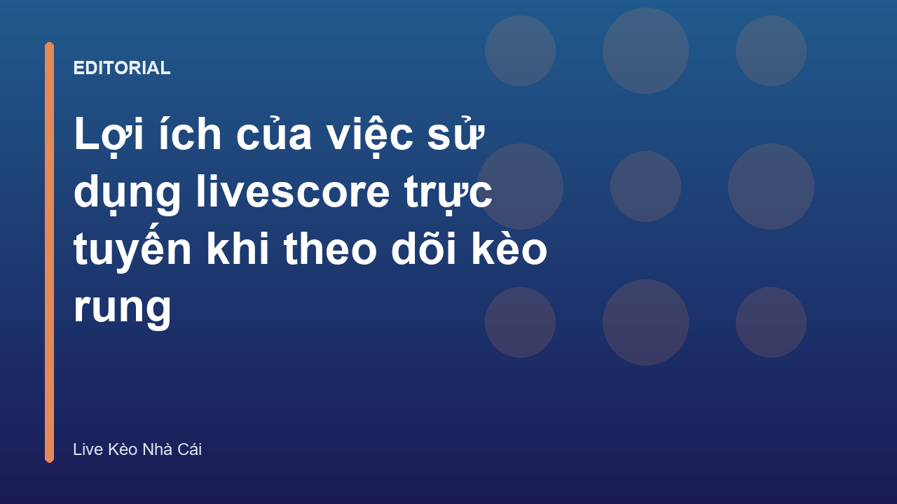 Người dùng theo dõi livescore trực tuyến trên điện thoại